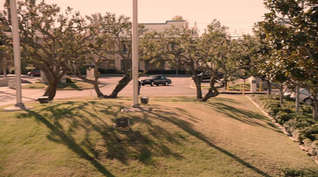 Grassy area with trees and two black cars entering drive