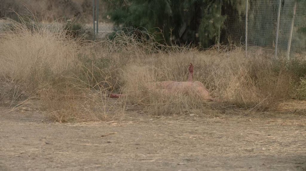 Ruth Davenport's body in the grass