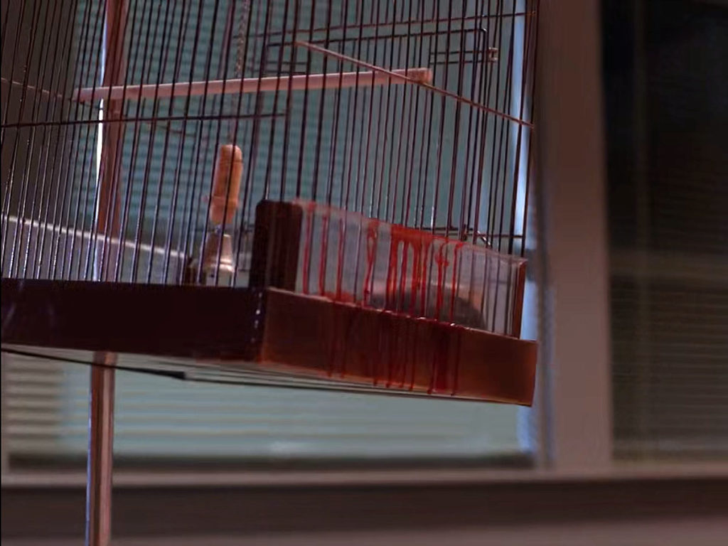 Waldo's cage after he is shot