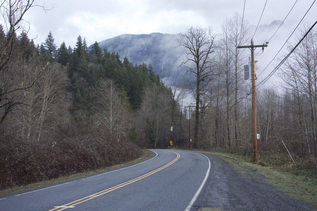 Road surrounded by trees and utility pole along right side of image. Fog-covered mountains are in the distance.