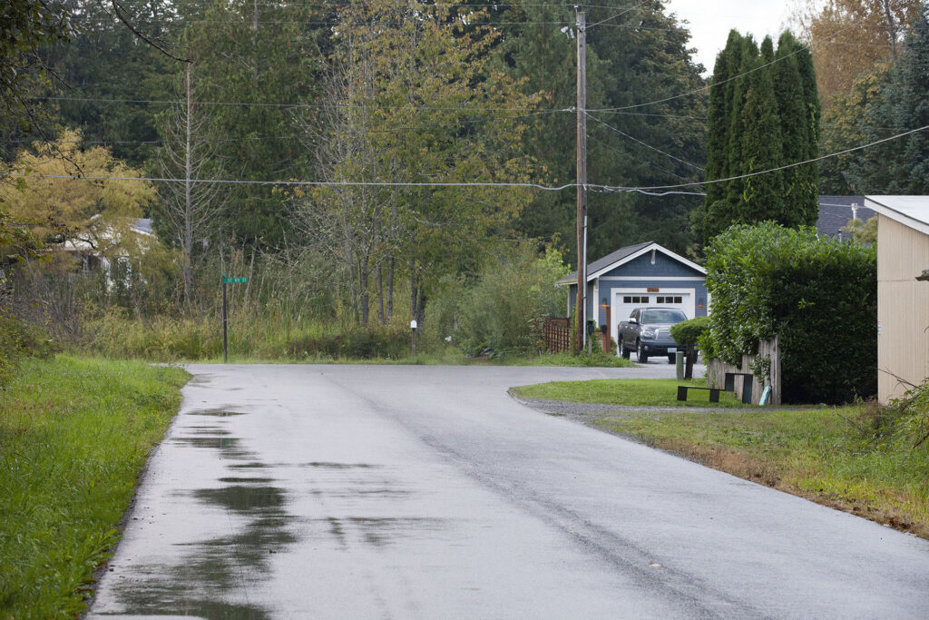 Road that dead ends into trees. A blue house is on the right corner with a truck parked in the driveway.