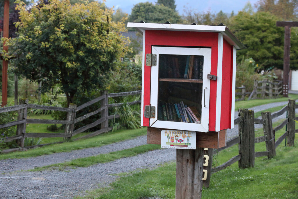 Little library in red and white along the side of a road