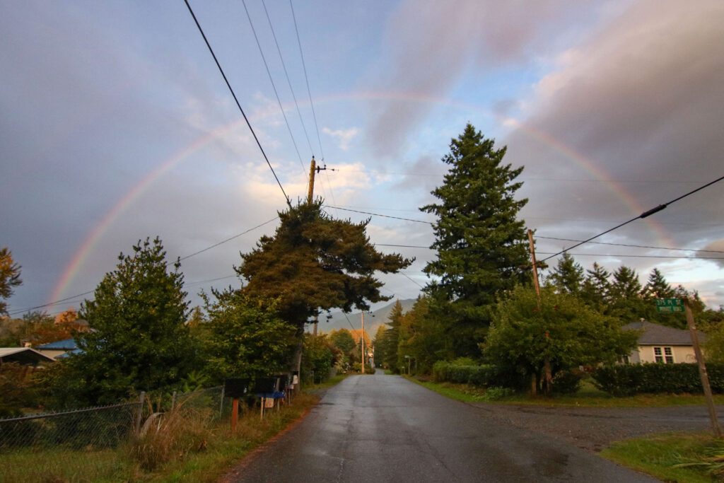 Rainbow over a road that is lined with trees and houses