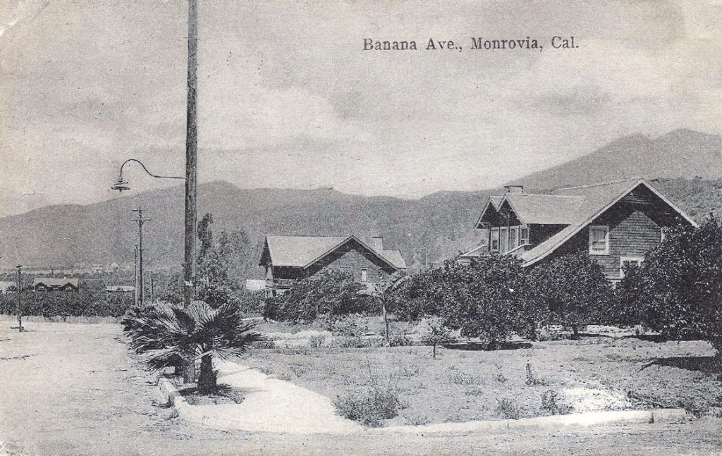 Postcard of Banana Avenue in Monrovia