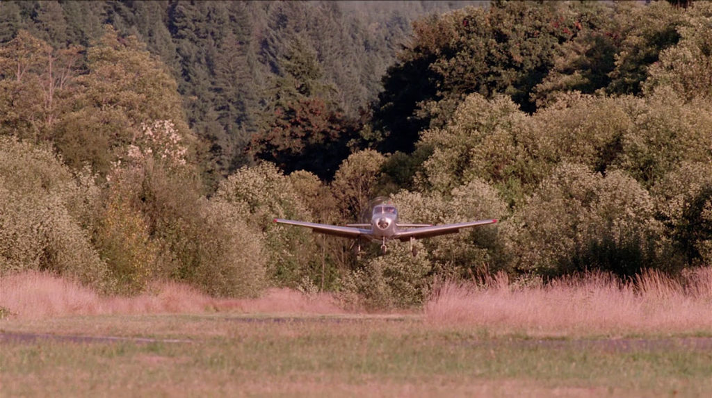 Airplane landing against a backdrop of trees