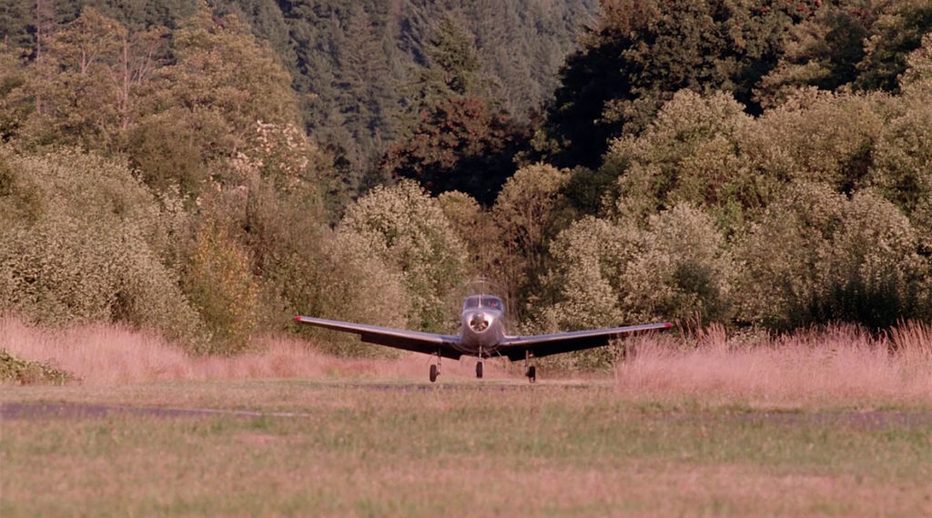 Airplane landing against a backdrop of trees