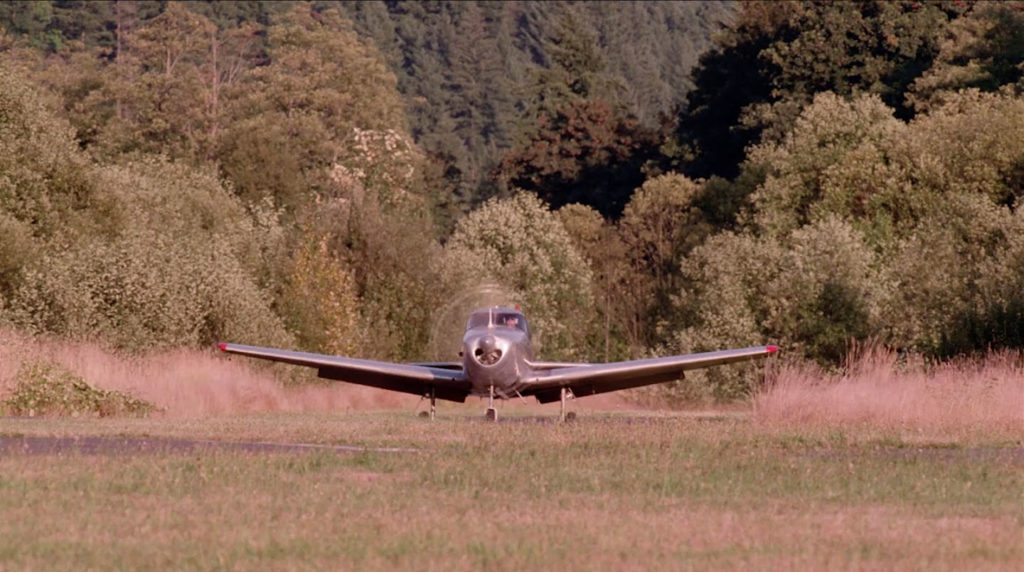 Airplane landing against a backdrop of trees