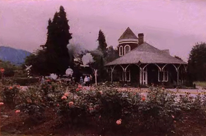 Train station with roses and train tracks