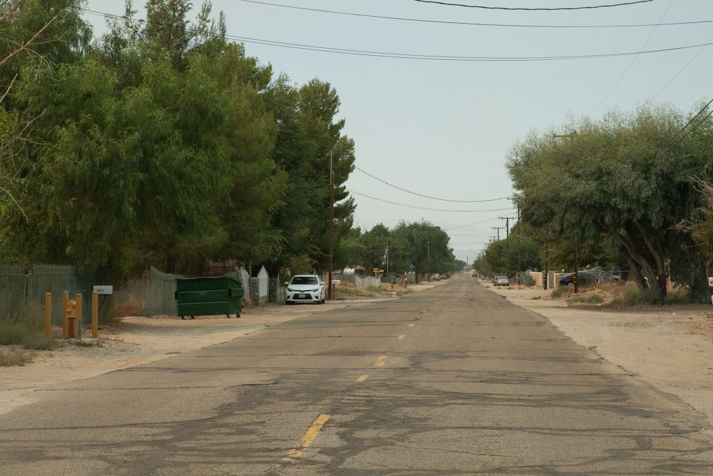 Street lined with trees in the California desert