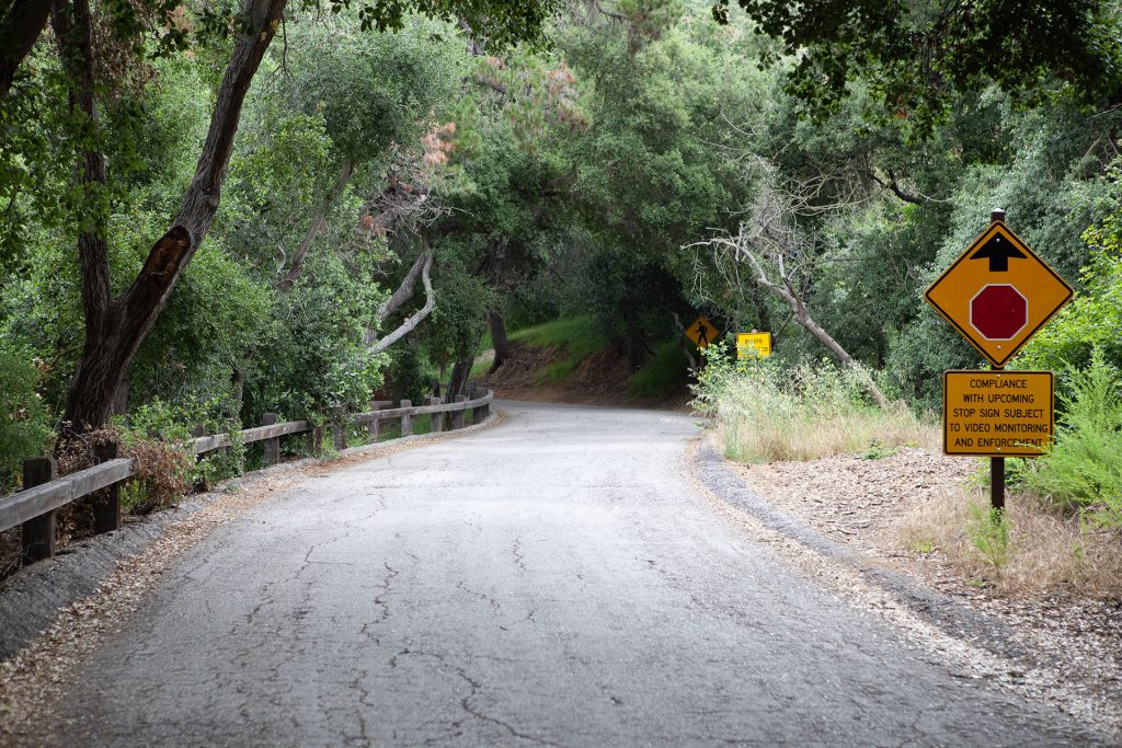 Road lined by trees