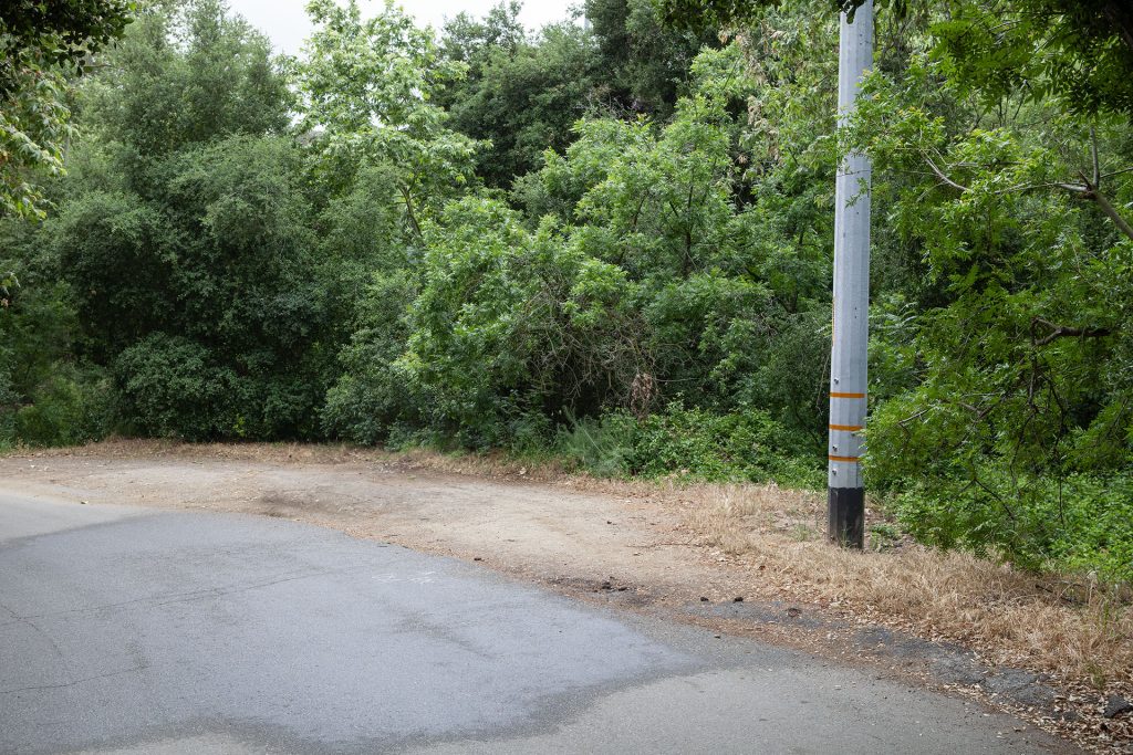 Road with pull off area near trees