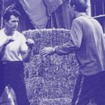 Blue-hued image of Agent Chet Desmond and Sheriff Cable fighting in front of a hay
