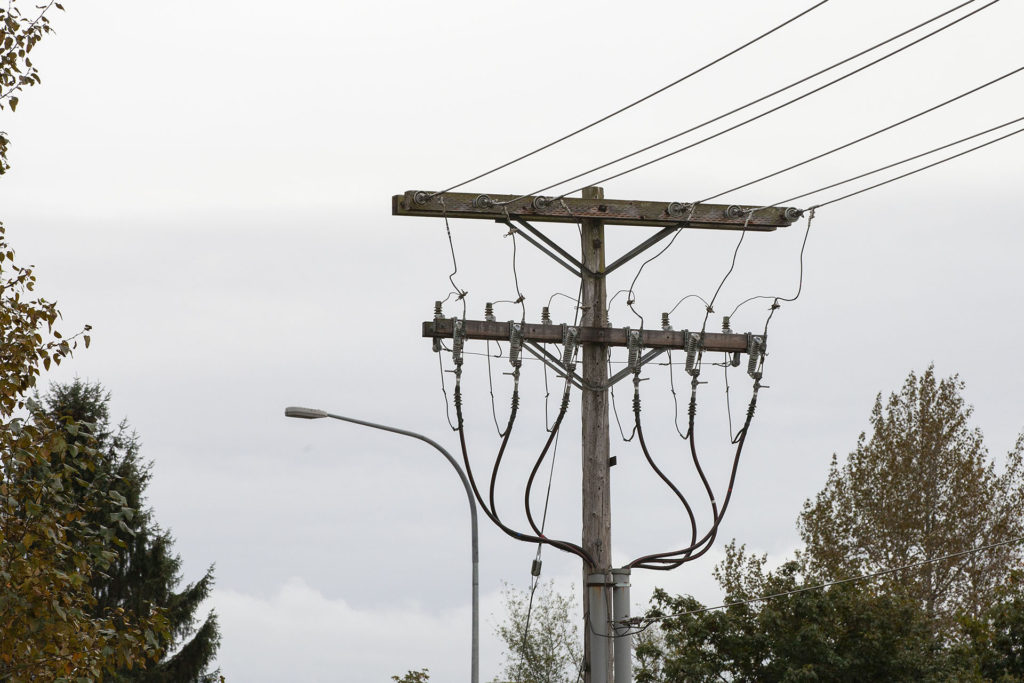 Utility pole with wires surrounded by trees against a grey-white sky