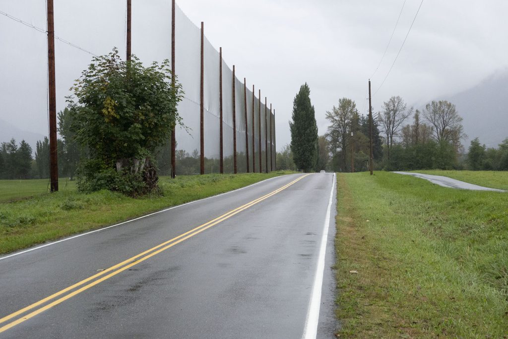 Netting along side of a road by a field