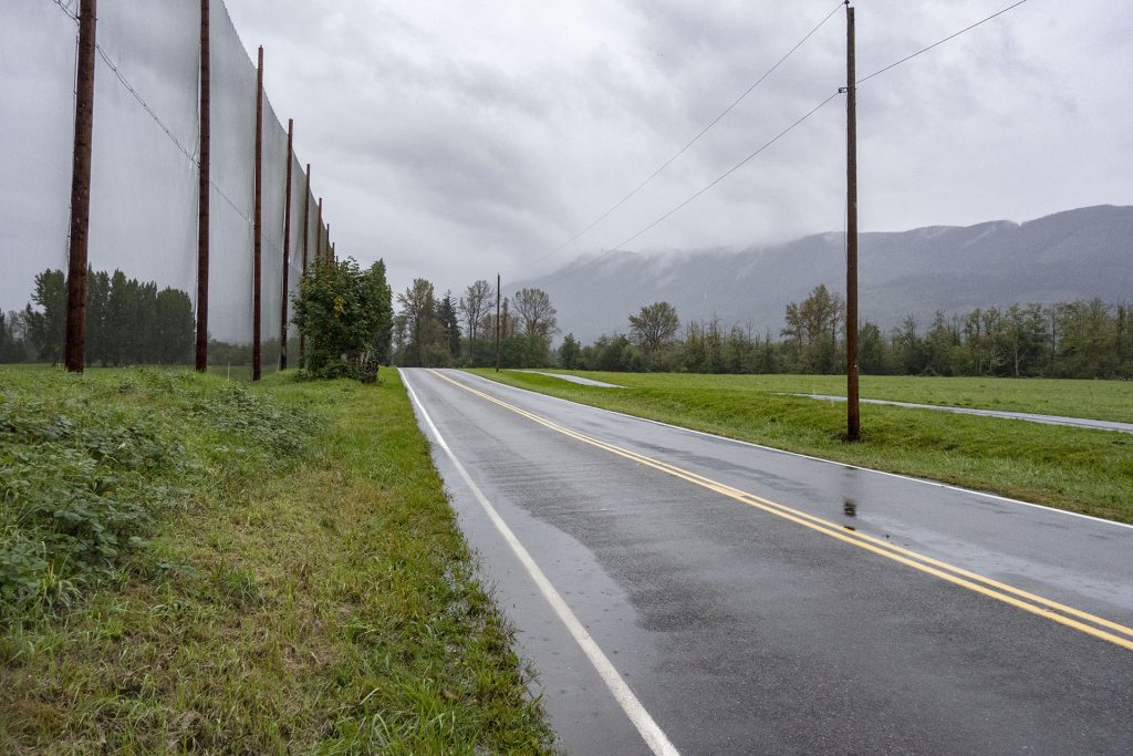 Road running between golf course netting and an open field