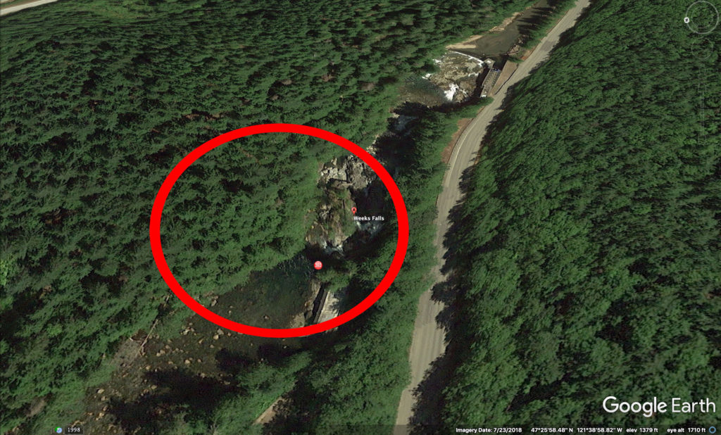 Google Earth aerial view of woods with red circle