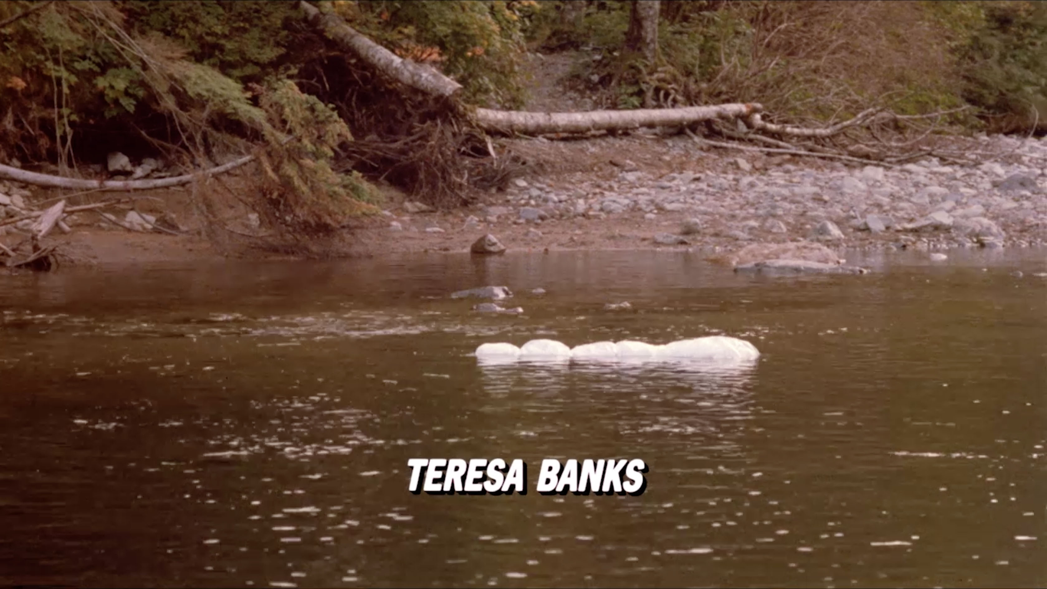 Body of Teresa Banks floating down Wind River