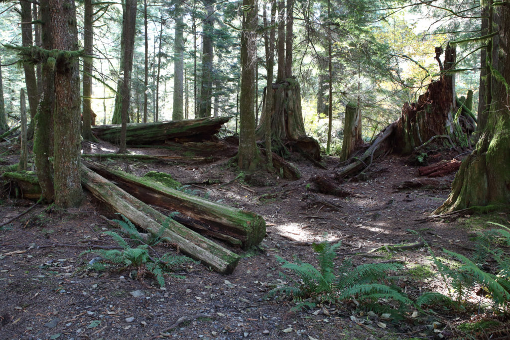 Olallie State Park and Jack Rabbit's Palace