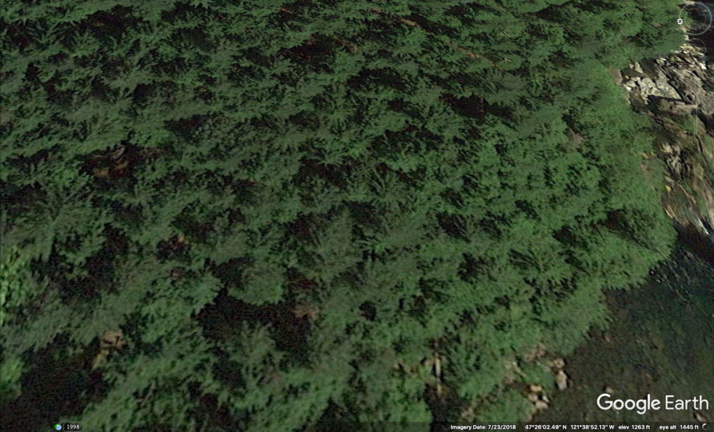 Google Earth of Aerial shot of woods and trees