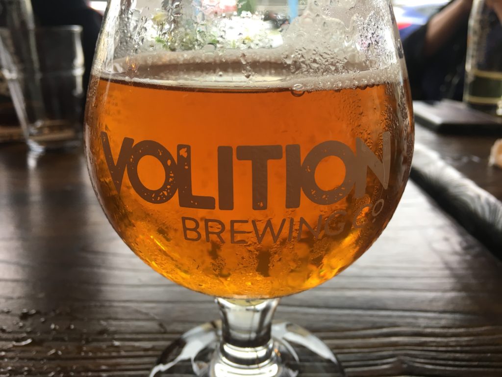 Volition Brewing glass full of beer