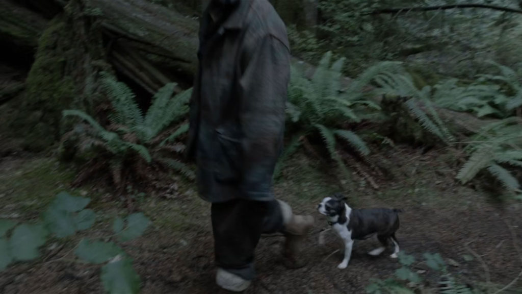 Cyril Pons Walking His dog