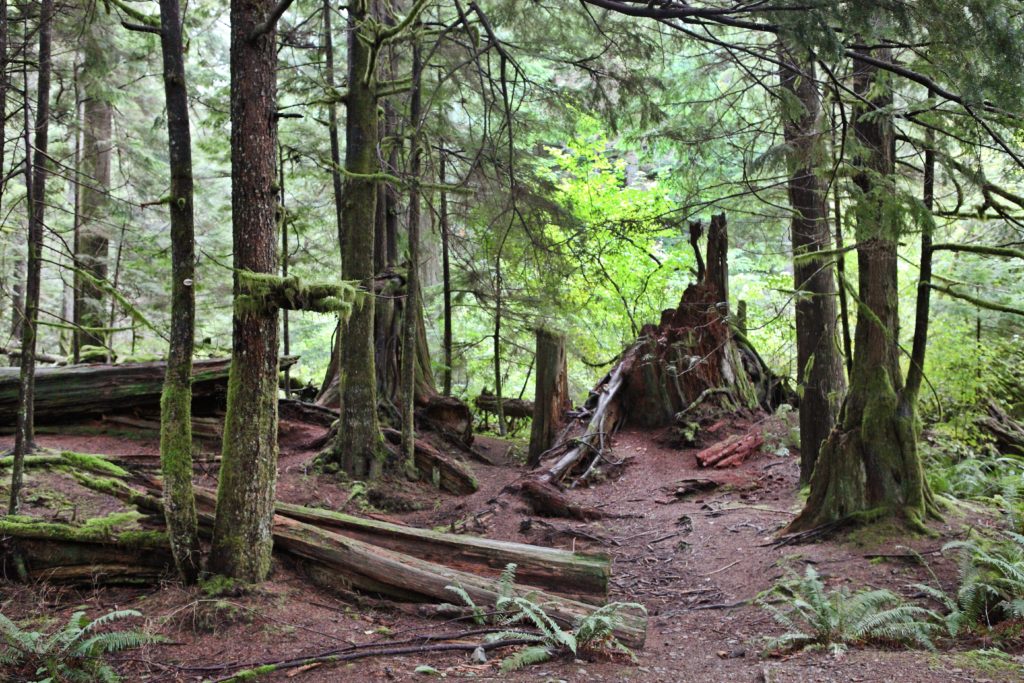 Olallie State Park and Jack Rabbit's Palace