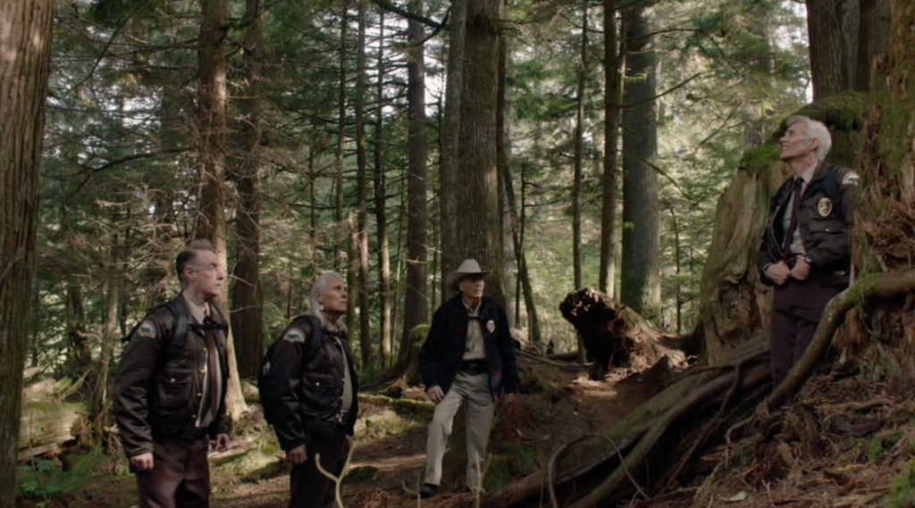 Deputies in the woods