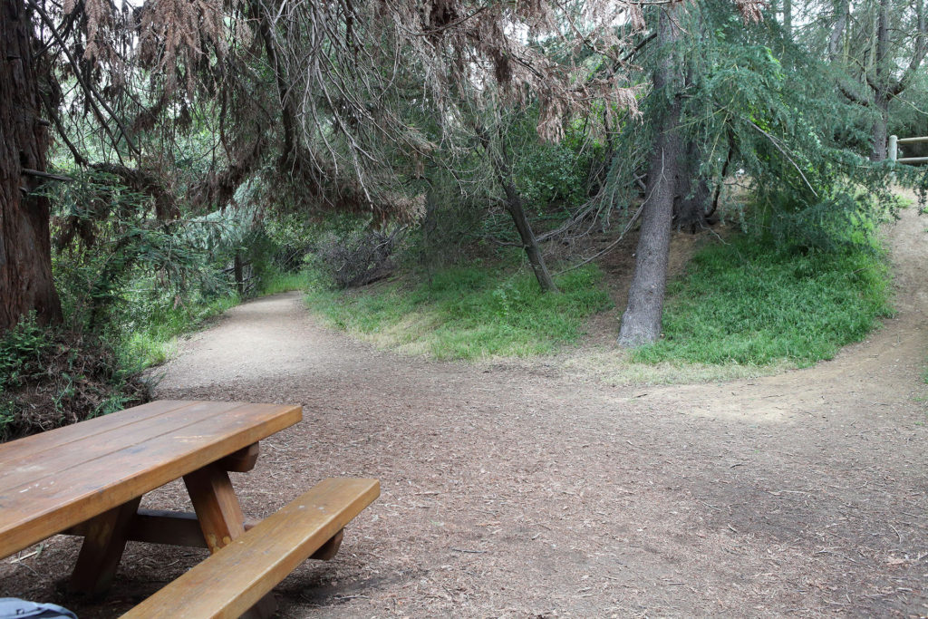 Franklin Canyon Park with a picnic bench