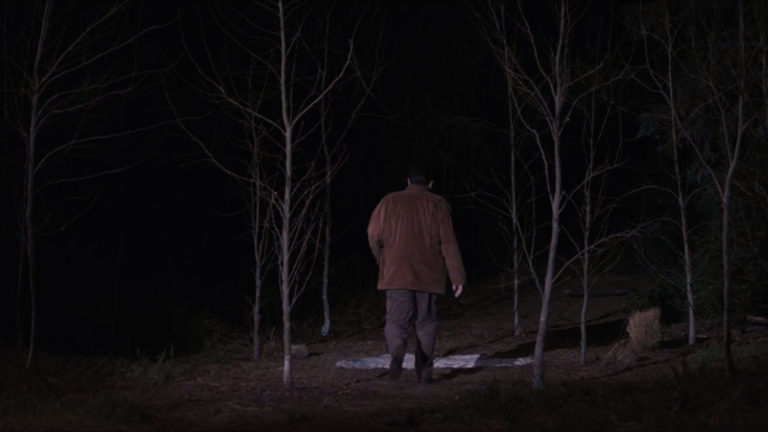 Leland Palmer walking toward Glastonbury Grove