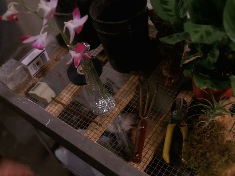 Vacant Peaks – Harold Smith’s Apartment