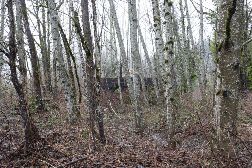 Winter woods with an abandoned railroad structure