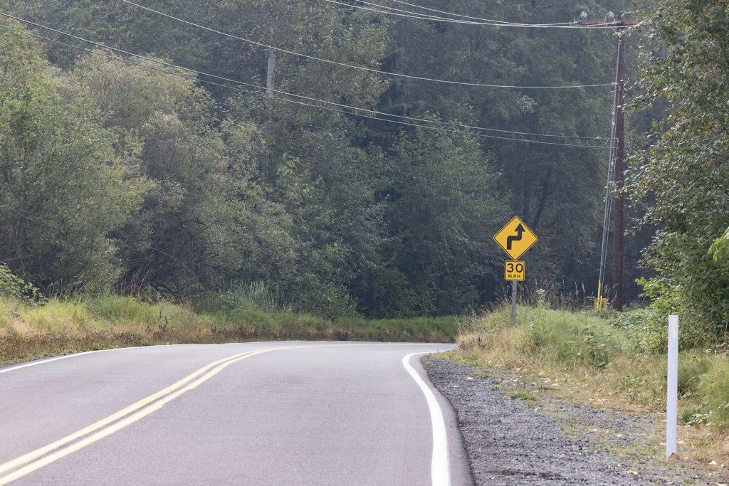 Road surrounded by trees