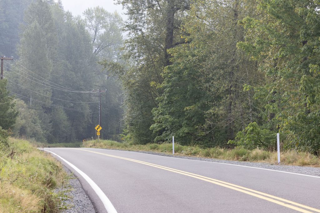 Road surrounded by trees