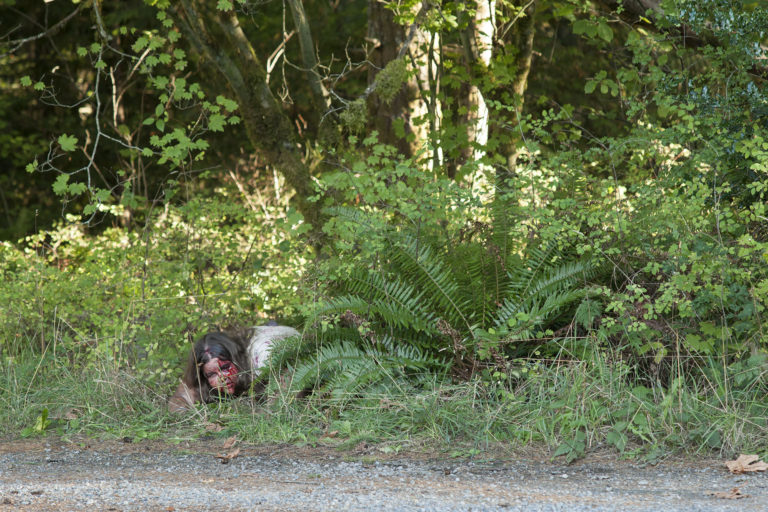 Twin Peaks Location – Finding Miriam Sullivan in Part 11