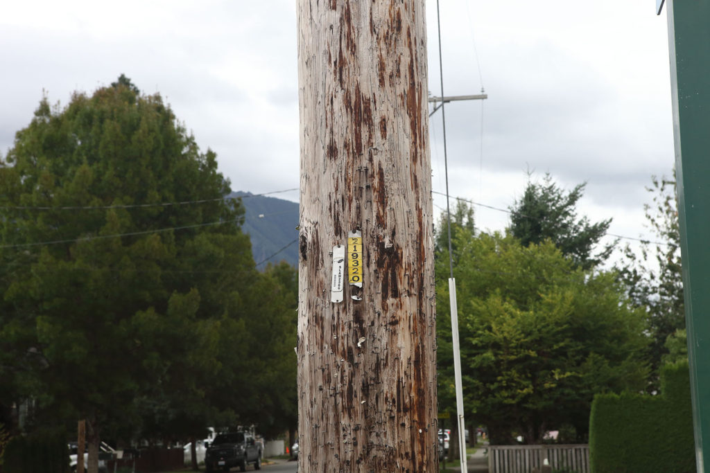 Utility Pole