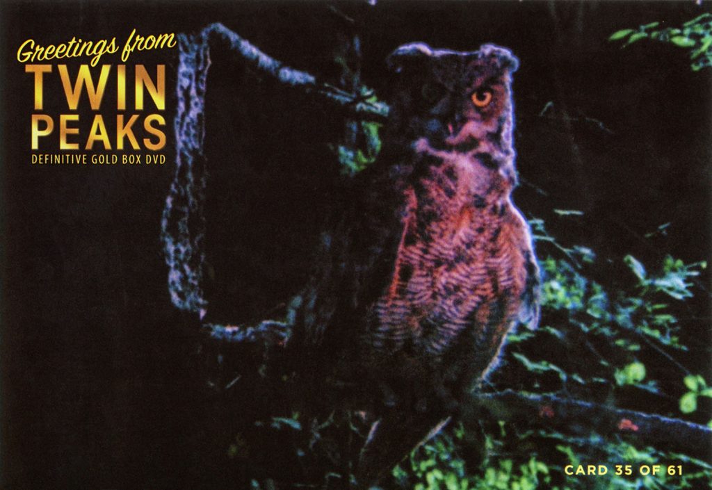 Greetings From Twin Peaks DVD Postcards Owl in the woods