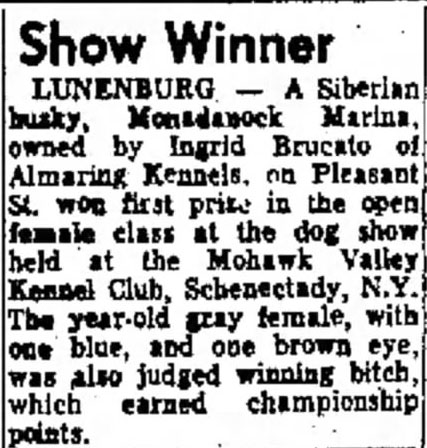 Fitchburg Sentinel, Nov. 11, 1966 article about Ingrid Brucato winning dog showing competition.