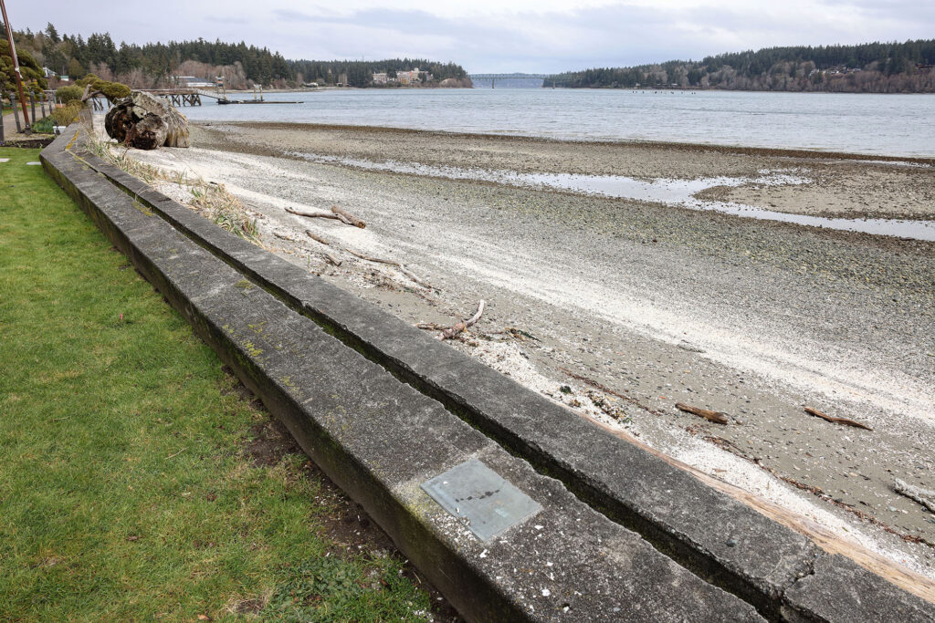 Seawall and shore along Kiana Lodge. A giant log is seen in the distance