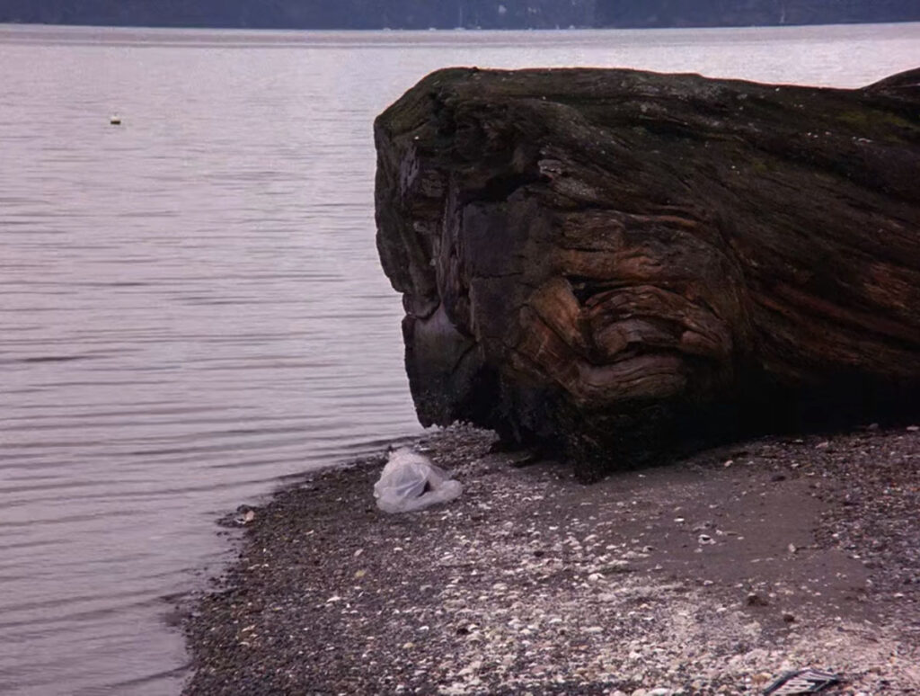 Laura Palmer's body wrapped in plastic in front of a giant log on a rocky beach.