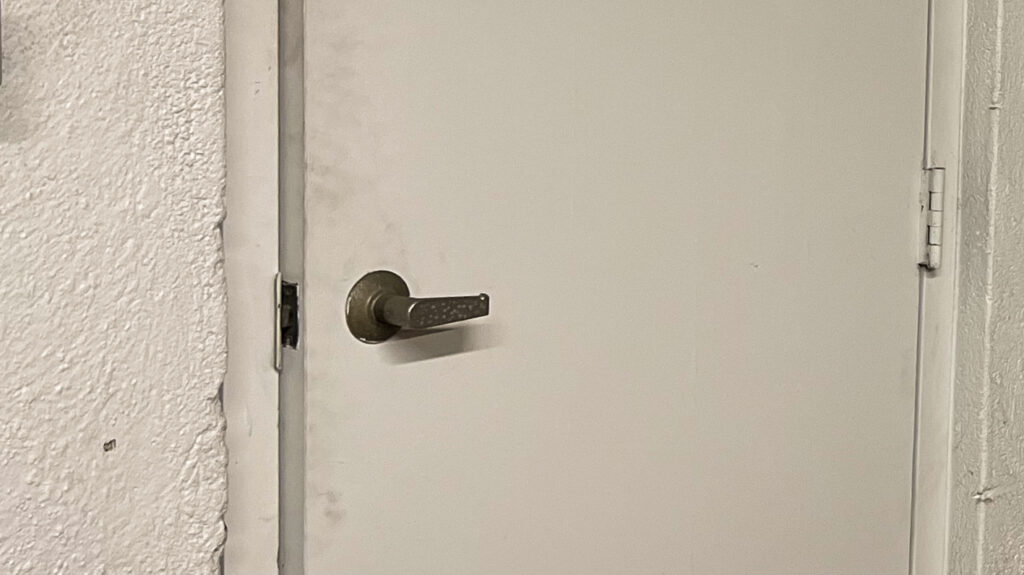 Door and door knob