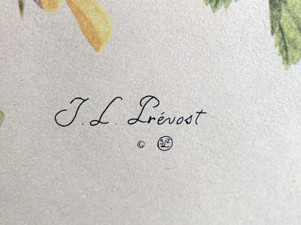 J.L. Prevost autograph on paper