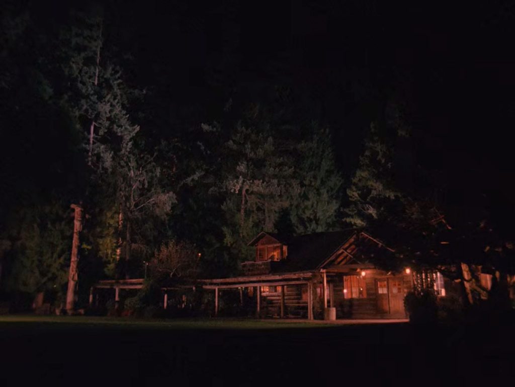 Wooden lodge at night under illuminated trees