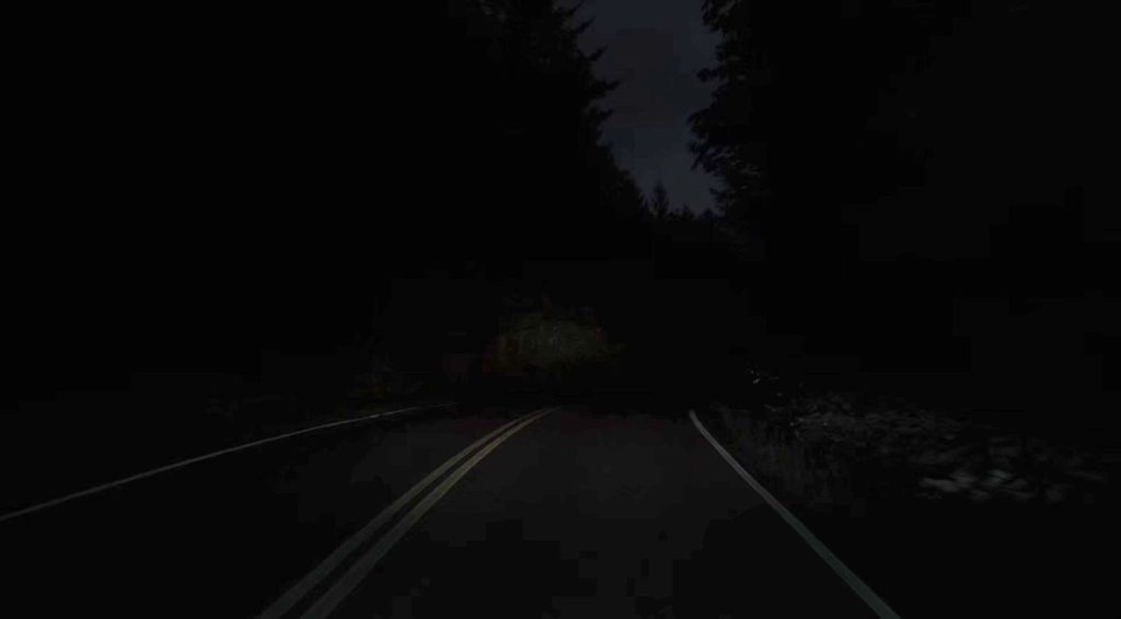 Nighttime road with trees