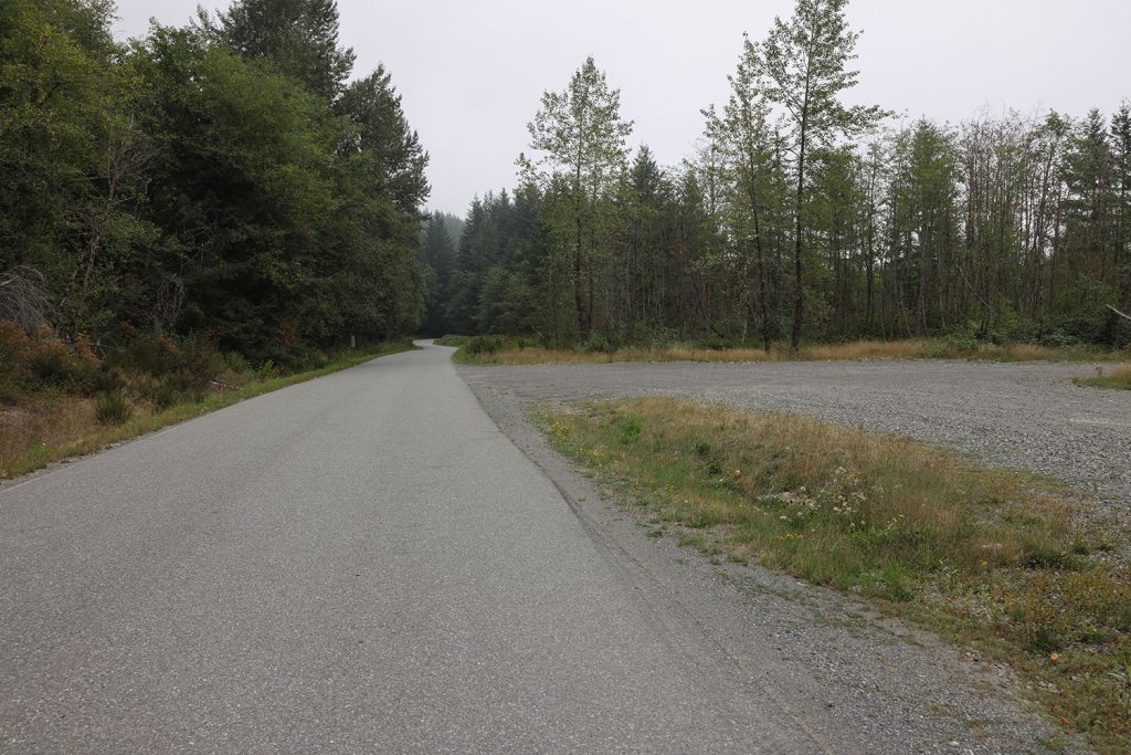 Road lined with trees next to gravel driveway