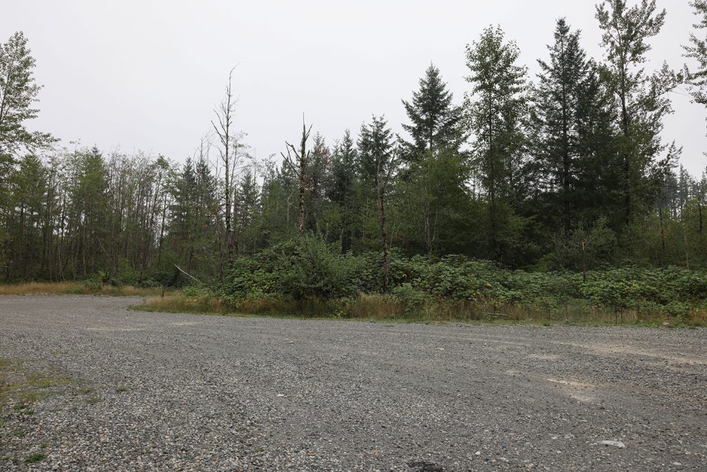 Empty gravel lot with trees in the background