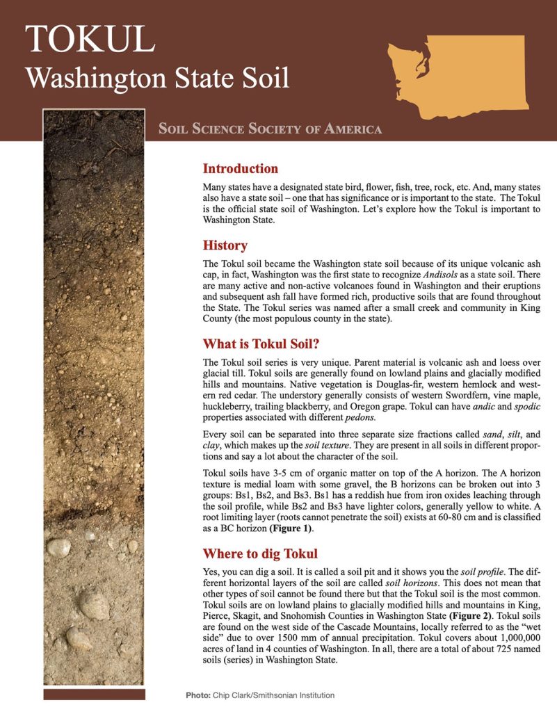 One sheet flyer about Tokul soil in Washington State
