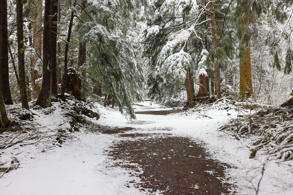 Snow covered trail at Olallie State Park