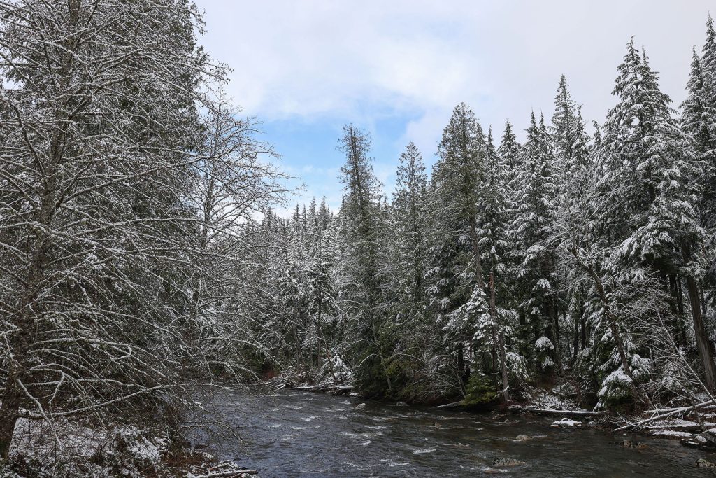 Snoqualmie River with snow-covered trees