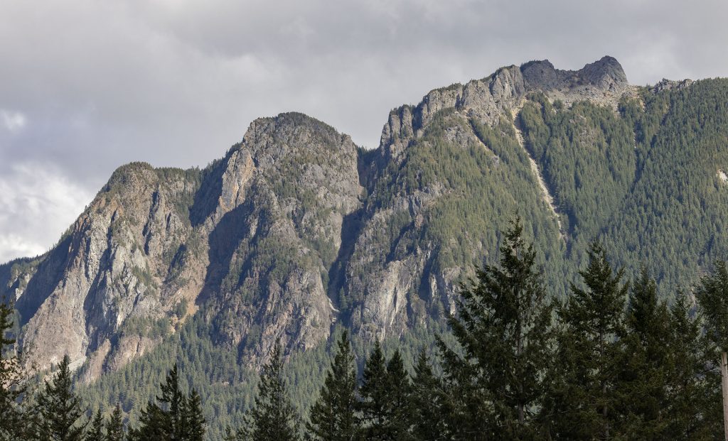 Mount Si with trees in foreground