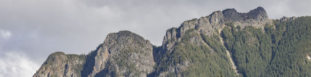 Mount Si with trees in foreground